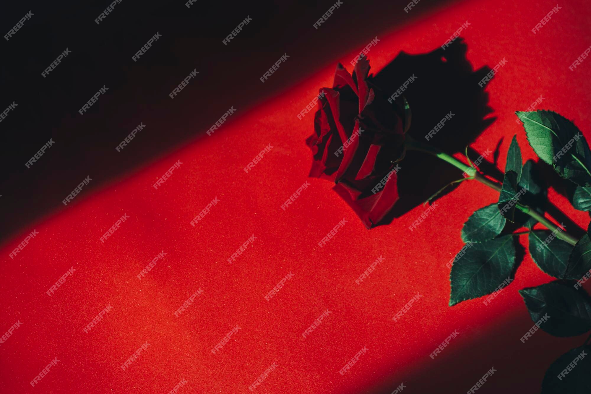Dark Red Roses Images - Free Download on Freepik