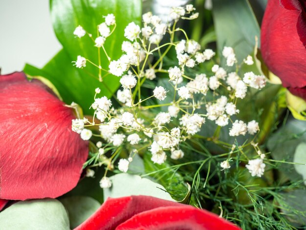 Foto rose rosse da vicino concetto di congratulazioni regalo di compleanno cesto di fiori