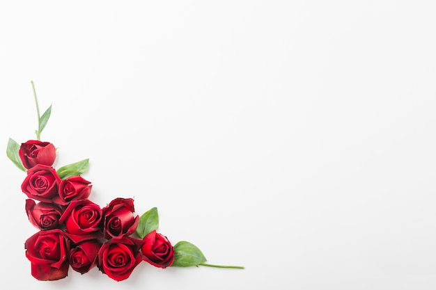 Foto decorazione delle rose rosse sull'angolo di fondo bianco