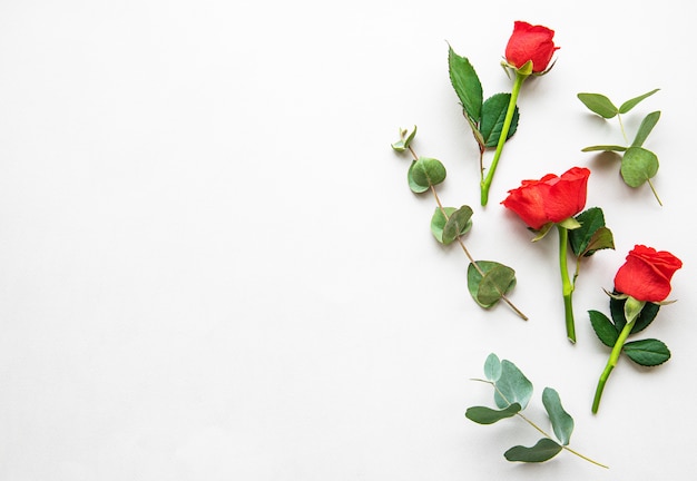 Red roses and eucalyptus