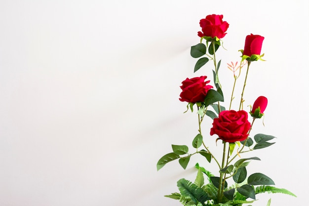 Red roses in the flower pot