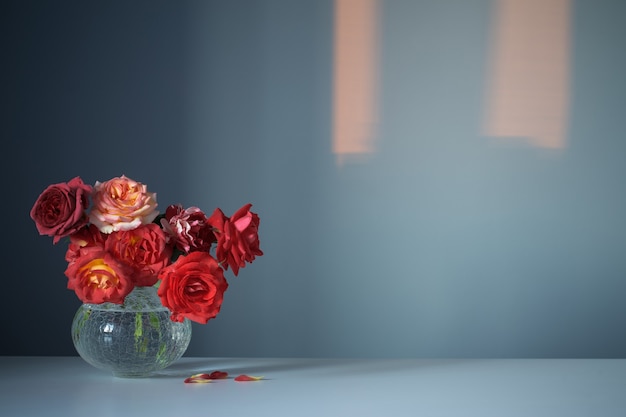 Red roses in glass vase on blue background