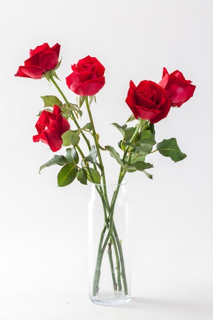Photo red roses in glass vase isolated on white background