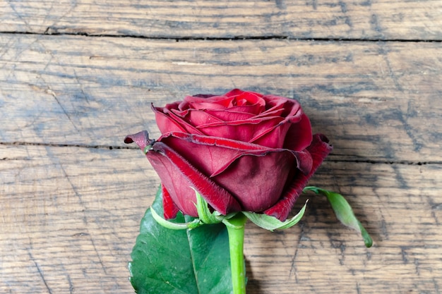 Red roses on grunge wooden background.