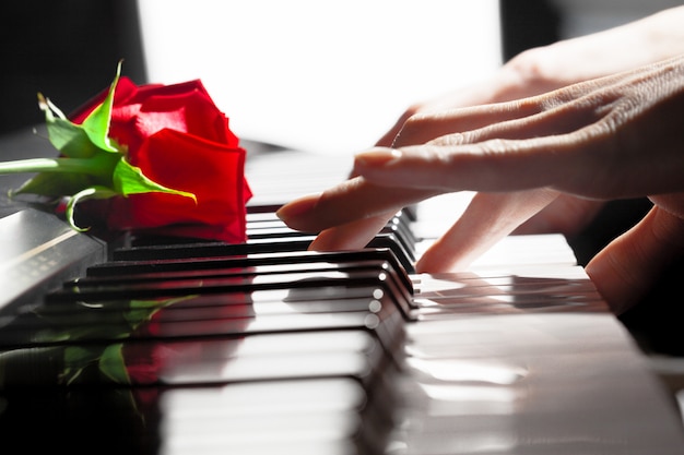 ピアノの鍵に赤いバラ