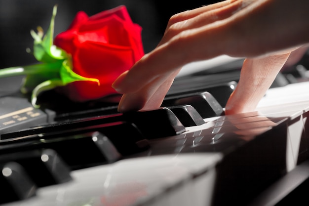 Red roses on piano keys