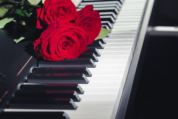 Red roses on piano keys