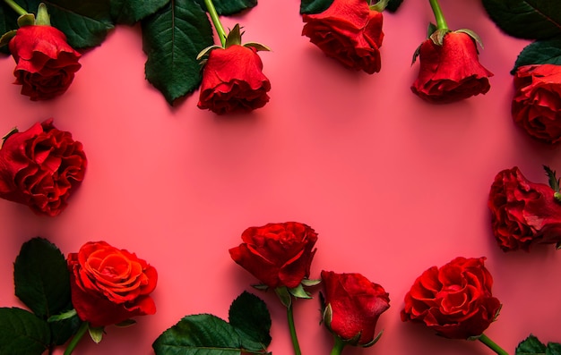 Red roses on a pink surface