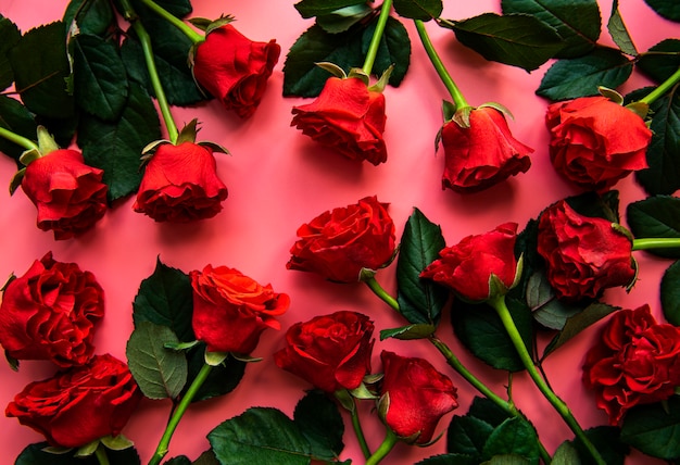 Red roses on a pink surface