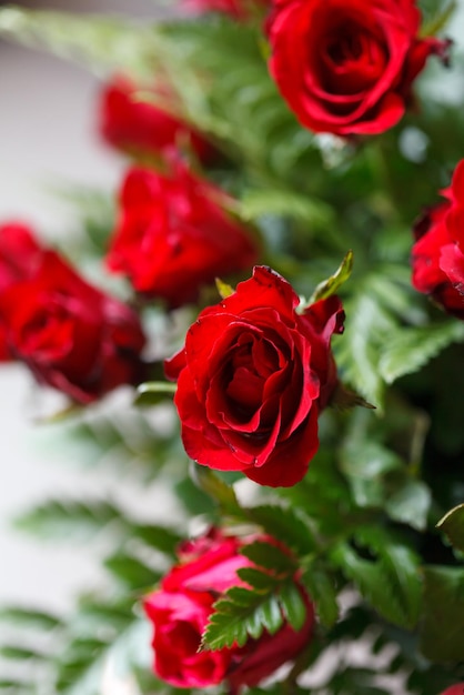 Messa a fuoco selettiva delle rose rosse