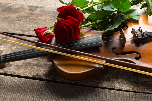 Red roses and a violin