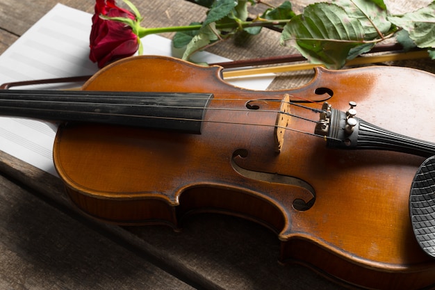 Red roses and a violin