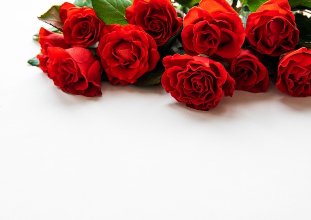 Red roses on white background