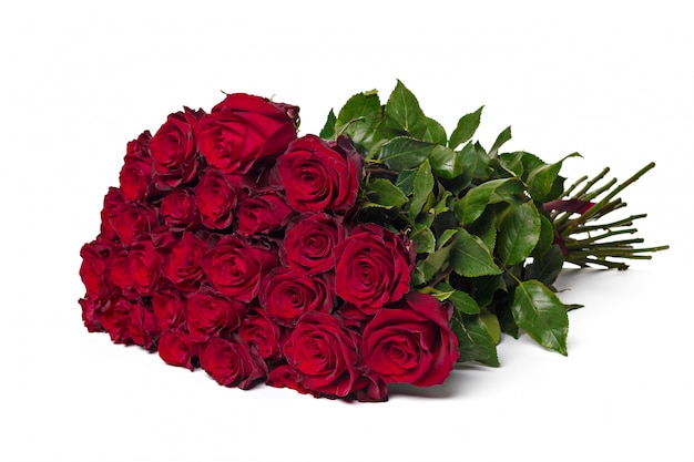 Red roses on a white background.