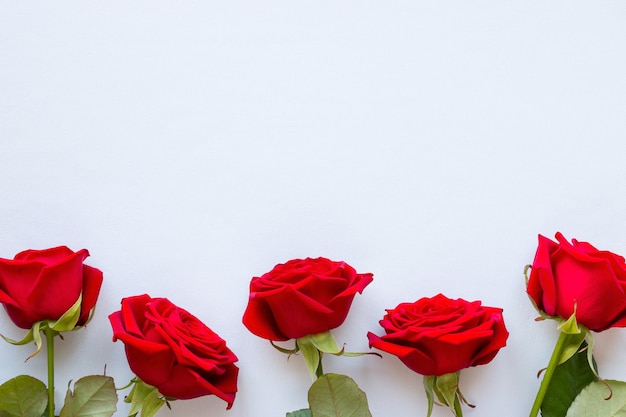 Red roses on white for Valentine's day