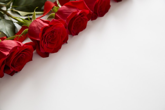 Red roses on white . Valentines Day , wedding day