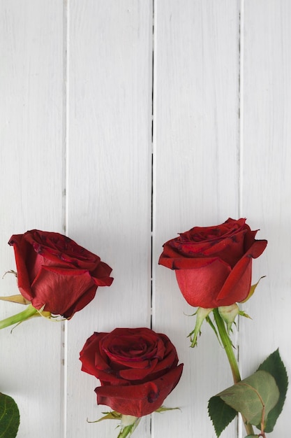 白い木製の背景に赤いバラ