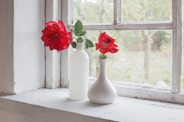 Red roses on windowsill