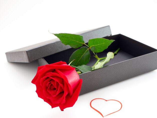 Red Roses with Gift Box on Valentine's Day