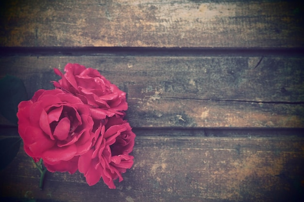 Red roses on a wooden background Buds of three beautiful roses Board table or floor