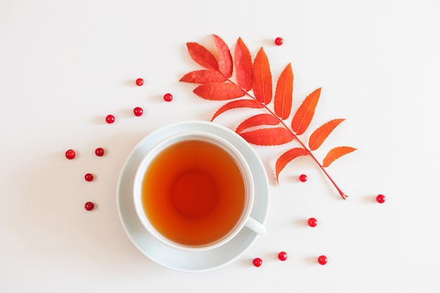 Red rowan leaves and a cup of tea