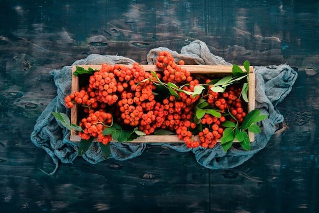 Red rowanberry in a wooden box On a black wooden background Top view Free space for your text