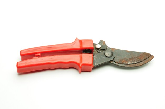 Red scissors for pruning tree branches and bushes on isolated white
