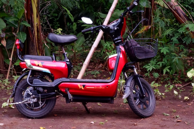 A red scooter with the word scooter on the side.