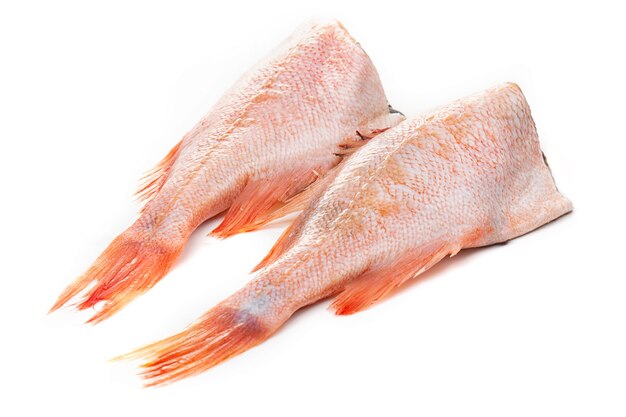 Red sea perch or big-eyed fish isolated on a white background.