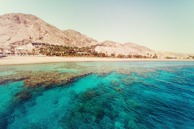 Red sea with coral reefs