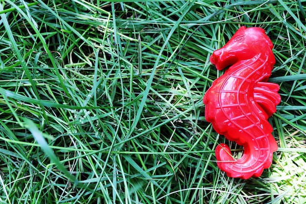 Red seahorse on green background grass with children toy