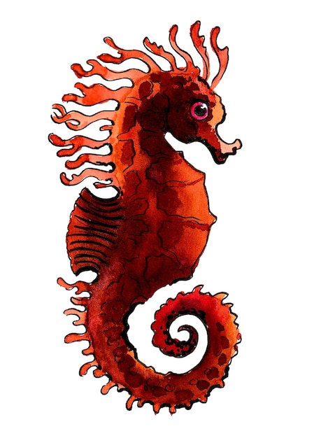 A red seahorse with a large eye and a large red eye.