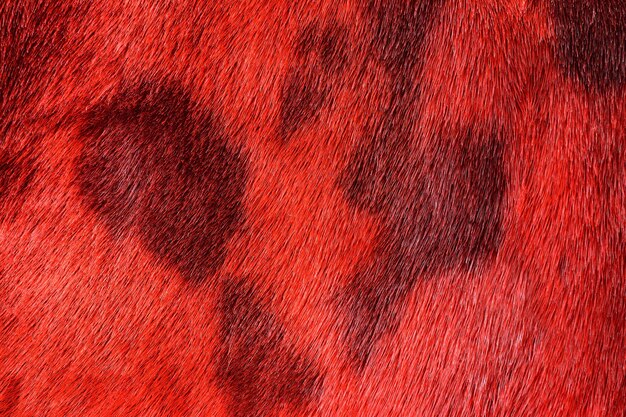 Red seal fur for background