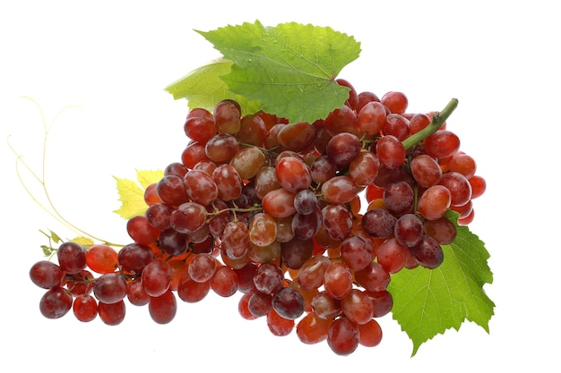 Фото Красный виноград без косточек с виноградными листьями и каплями воды.