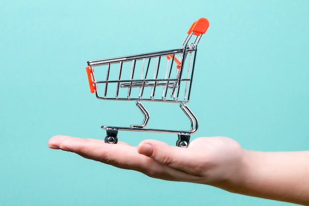 Red shopping trolley, in hand on azure