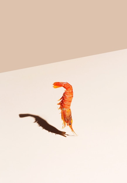 Red shrimp on beige background. Minimalistic concept in isometric style
