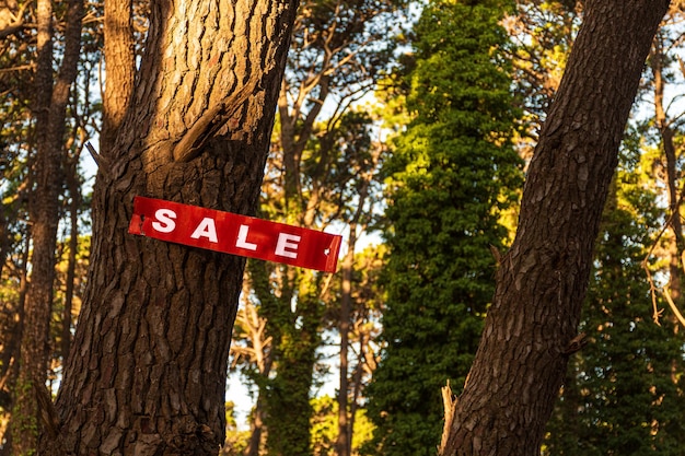 Red sign advertising Sale nailed to the trunk of a tree in a forest