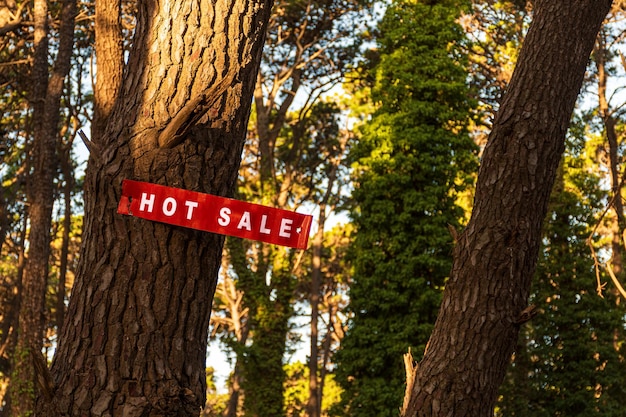 Red sign announcing the hot sale is nailed to a tree in the middle of a forest