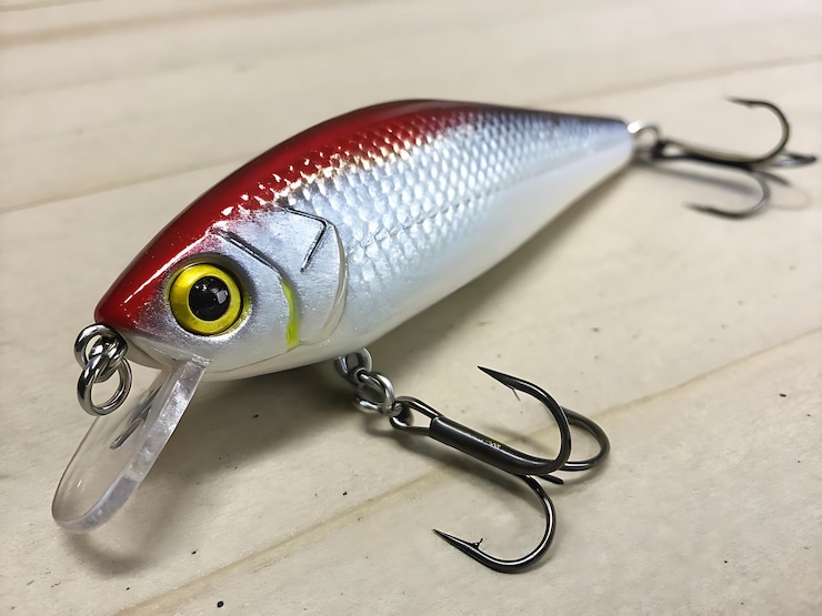 Photo 赤と銀のクランクベイト釣り