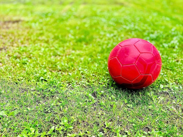 Red soccer ball on green grass Selective focus