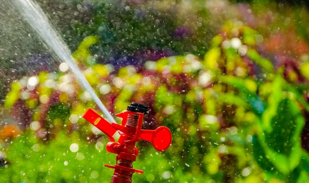 A red sprinkler sprinkler with a sprinkler sprinkler sprinkler.