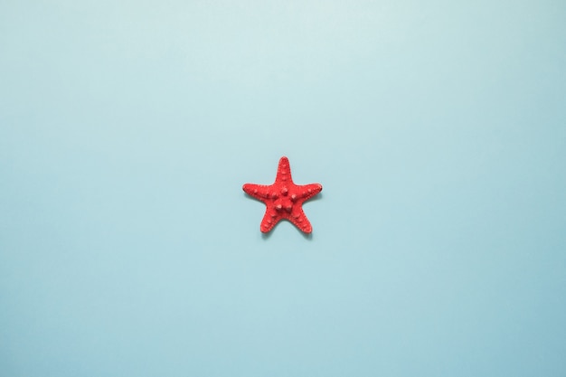 Red starfish on blue sea with copy space