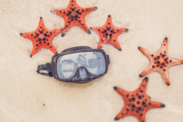 Red starfish and diving mask on the beach