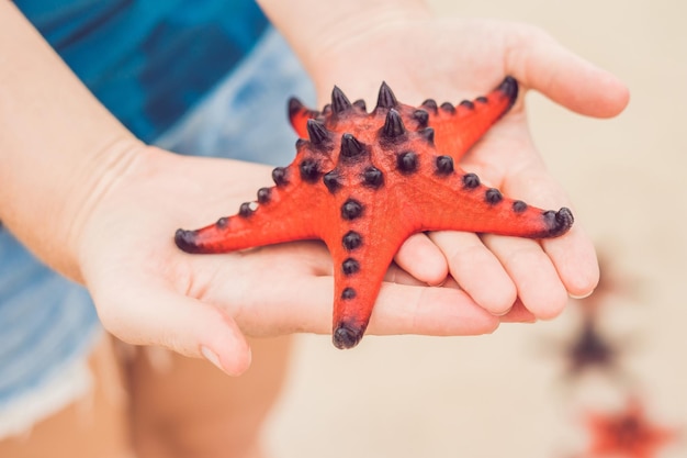 Red starfish in the hands next to the sea