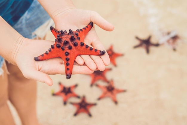 Red starfish in the hands, next to the sea