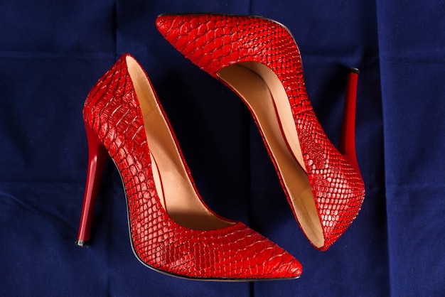 Red stiletto heels of snakeskin on blue space