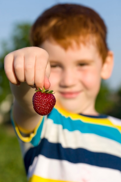 Red strawberries in the hand