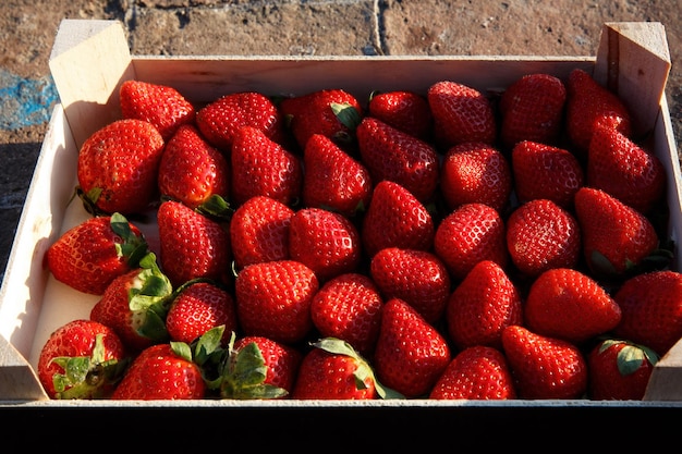 Red strawberries picked in a farmer wooden box