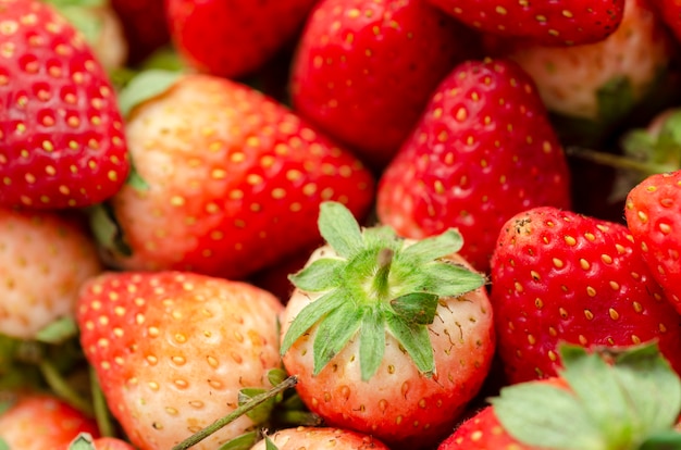 Red strawberry with a patterned background blurred