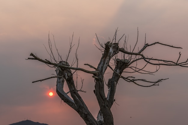 夕焼け